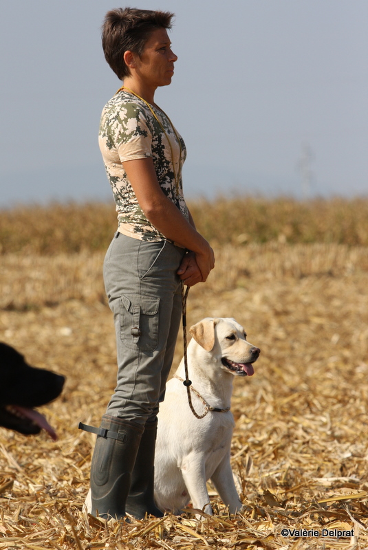 Field Erstein 09 (60).JPG